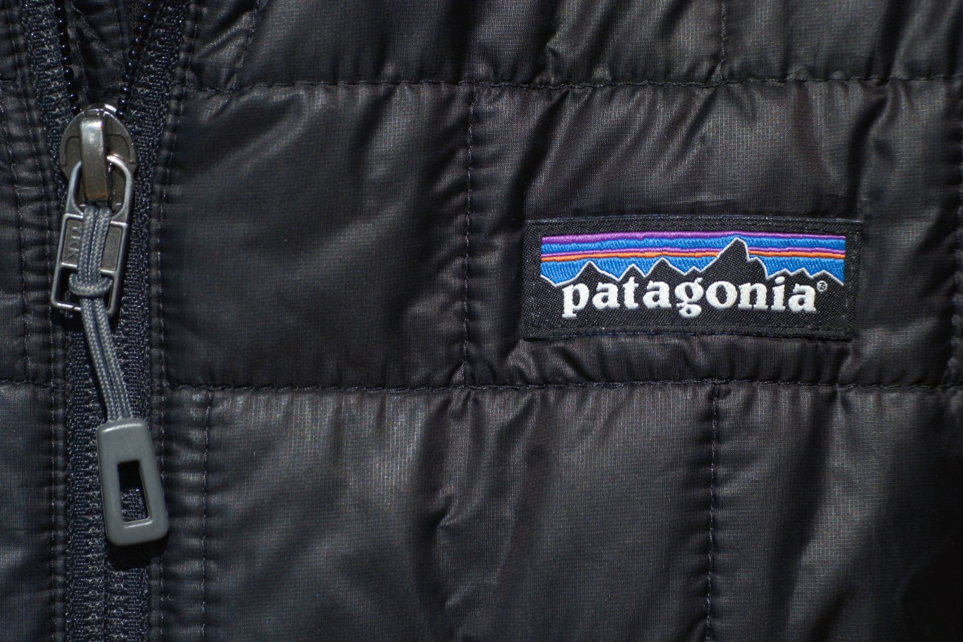 A woman wears a Patagonia jacket.