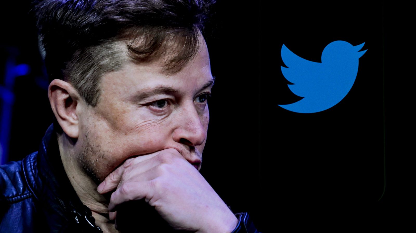 Elon Musk and Twitter