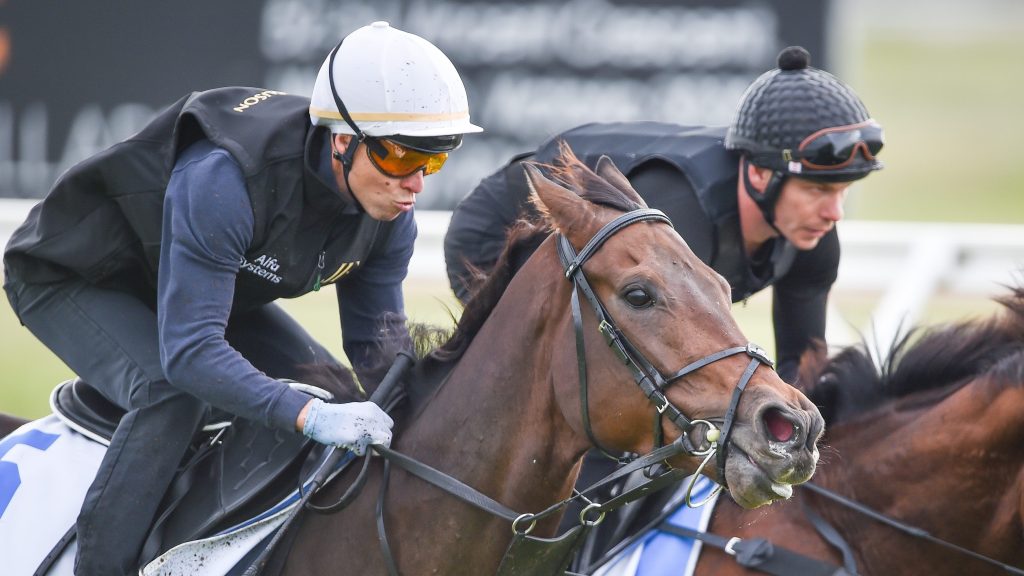 Deauville Legend ridden by Kieran McEvoy during trackwork at Werribee Racecourse on October 21, 2022 in Werribee, Australia. (Reg Ryan/Racing Photos via Getty Images)