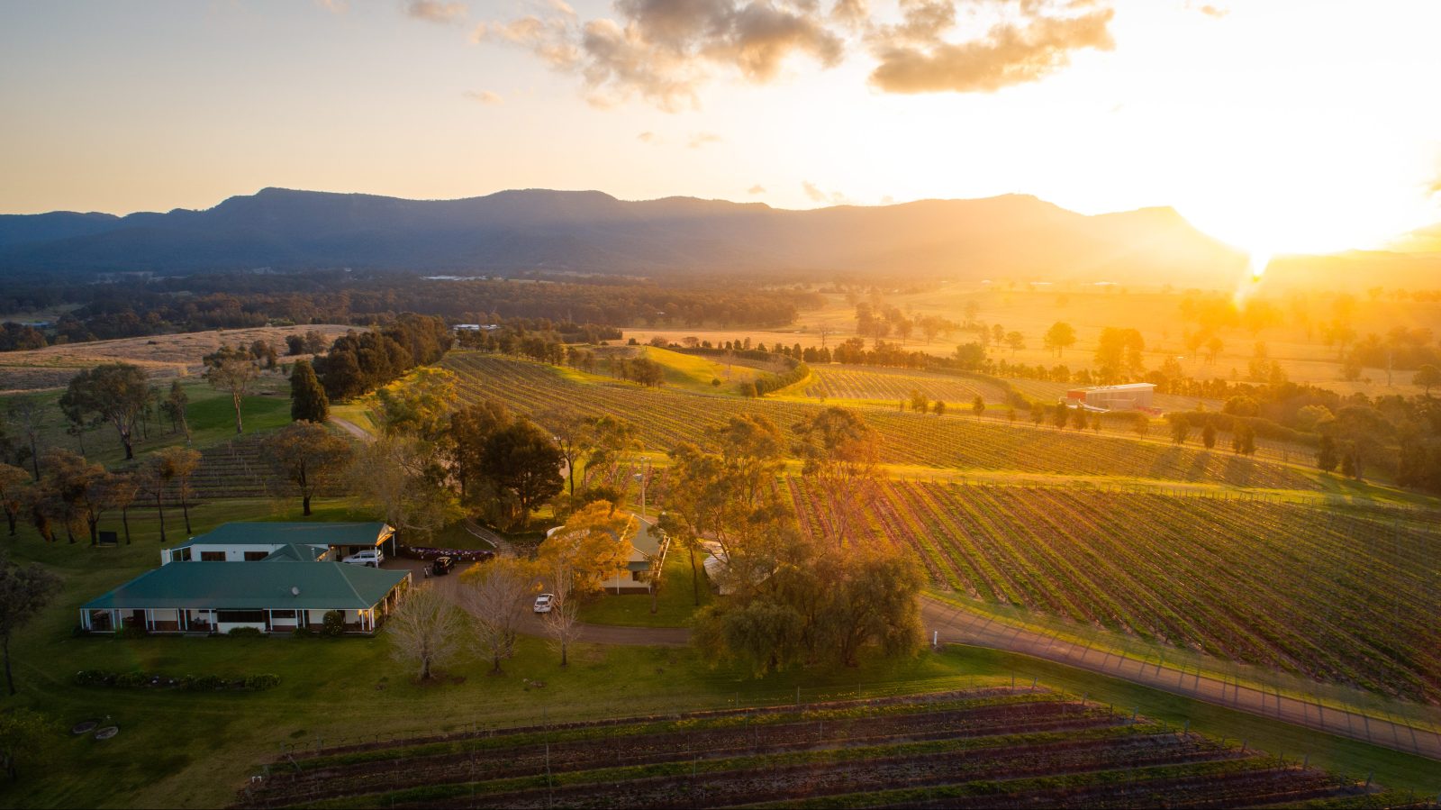 Scarborough wines