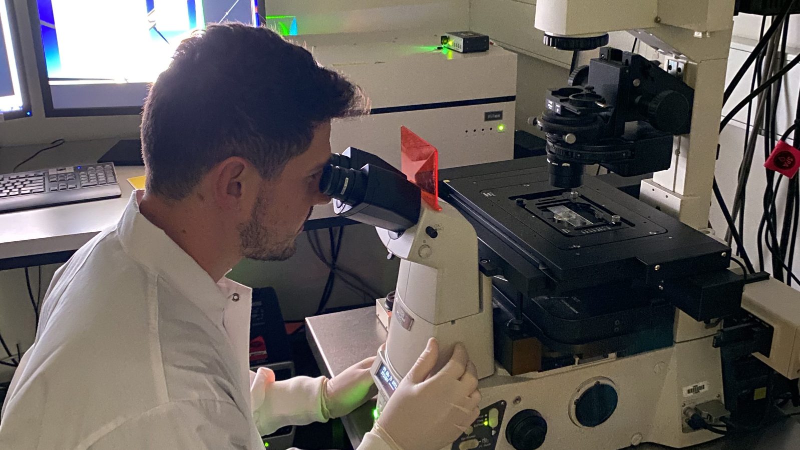 Dr Daniel Mediati, a scientist in the School of Biotechnology and Biomolecular Sciences at the University of New South Wales