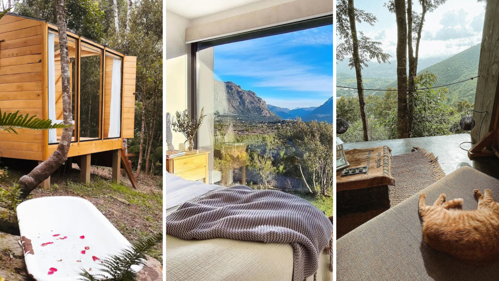 Airbnb's most popular properties