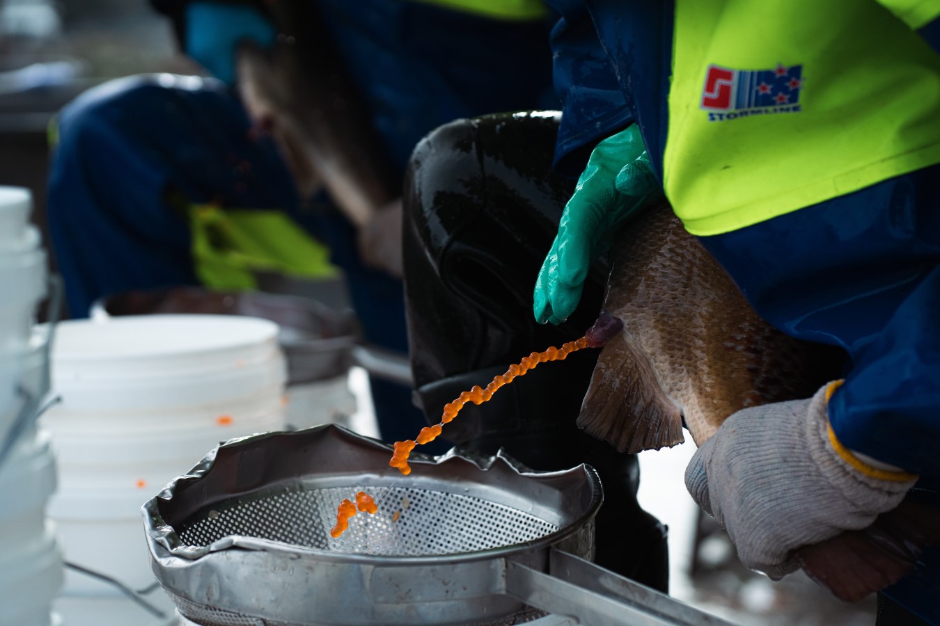 Yarra Valley Caviar
