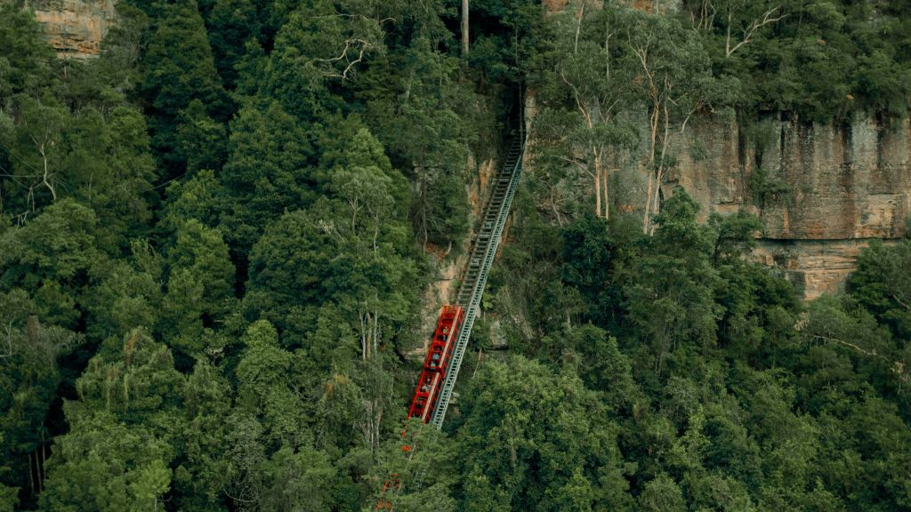 Scenic World