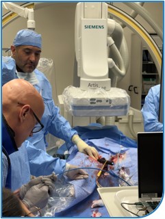Venstra Medical's pVAD being insterted into a sheep.