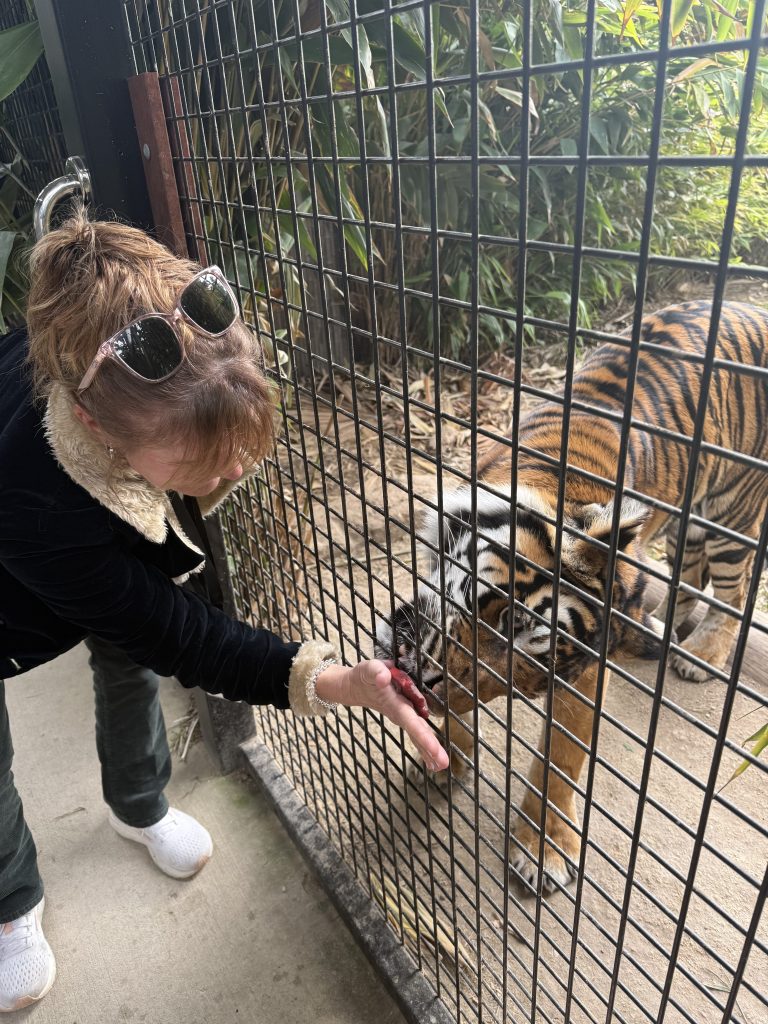 Sydney Zoo