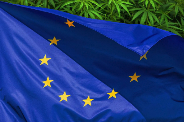 Where is marijuana legal in Europe?