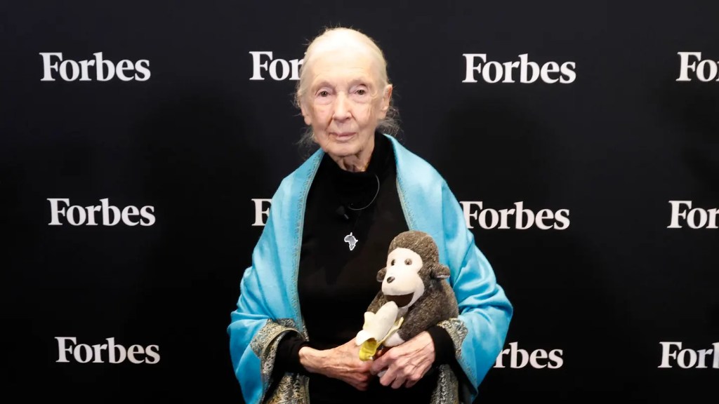 Dr. Jane Goodall, DBE, Founder, The Jane Goodall Institute and UN Messenger of Peace attends the 2025 Forbes Sustainability Summit.