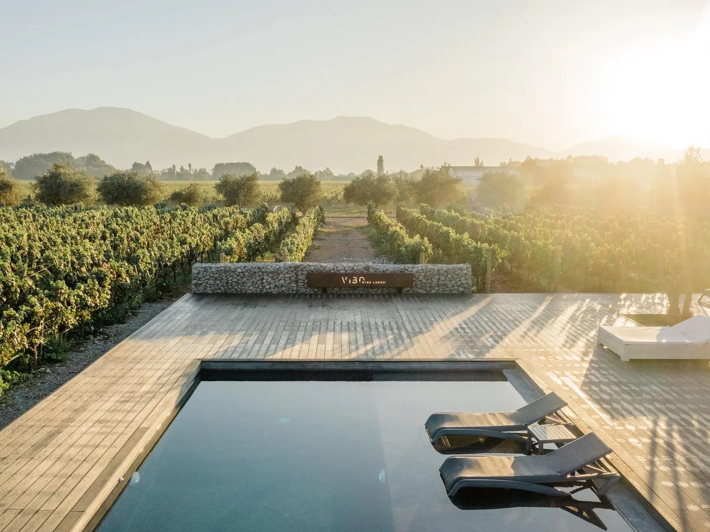 A global wine map from England to Australia