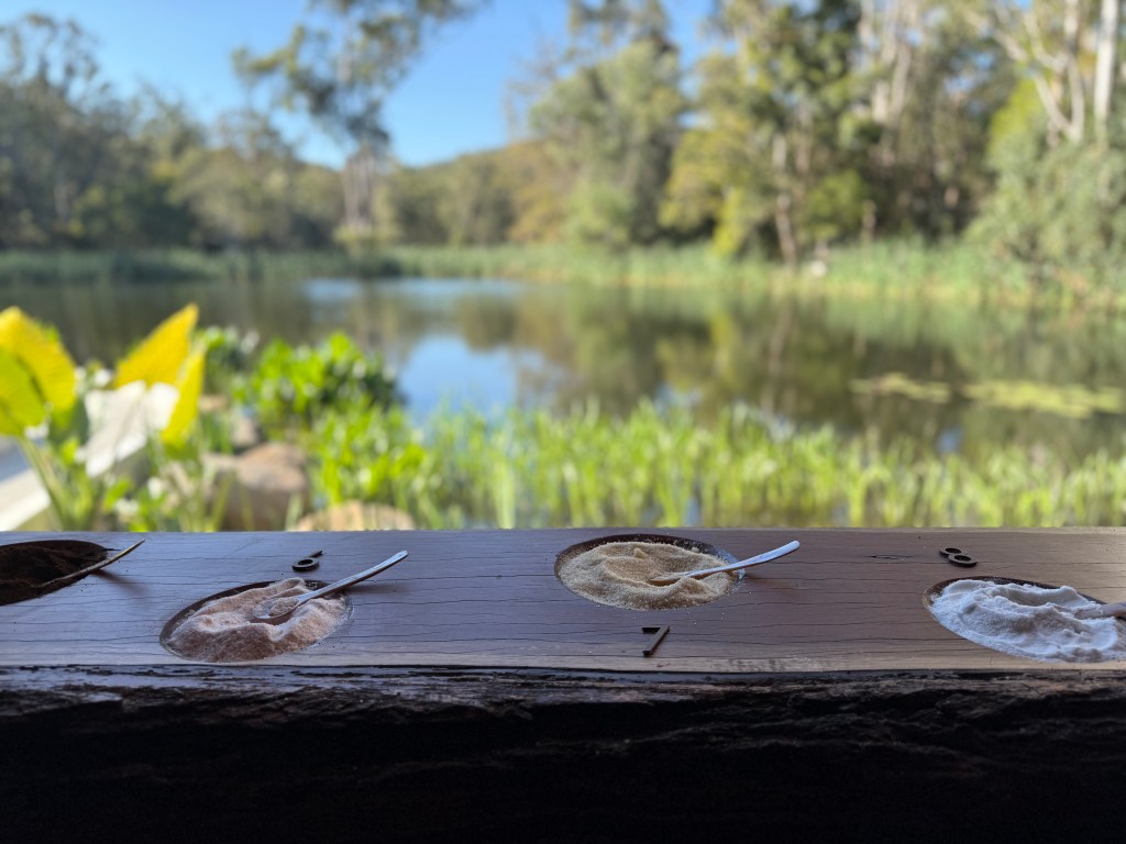 Sol Elements at Mount Tamborine