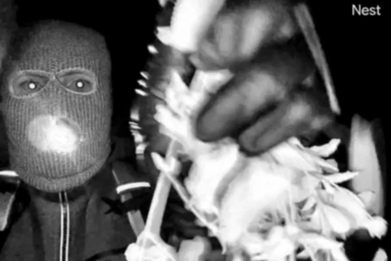 KIDNAPPING INSURANCE