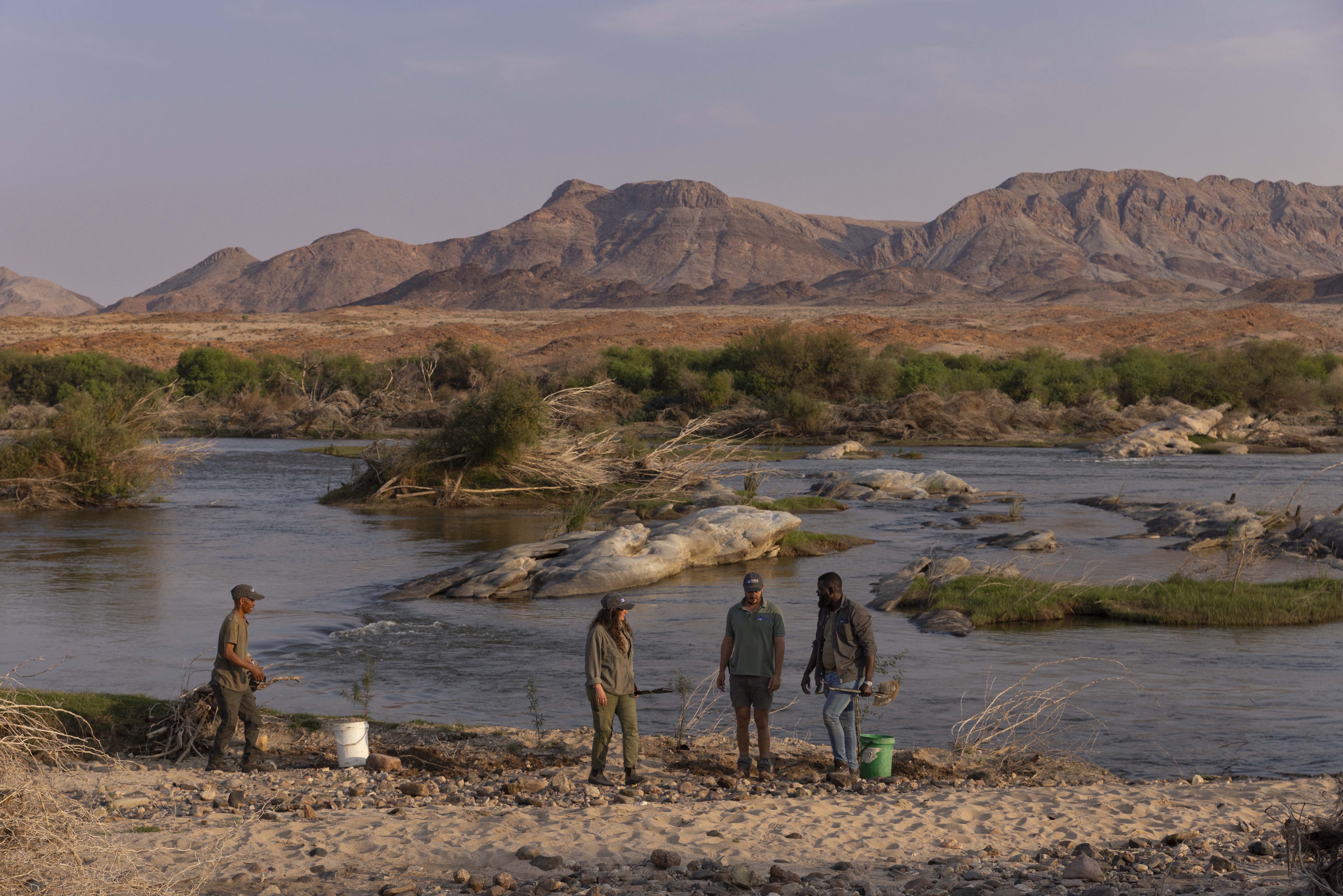ORKCA team planting trees along the Orange River