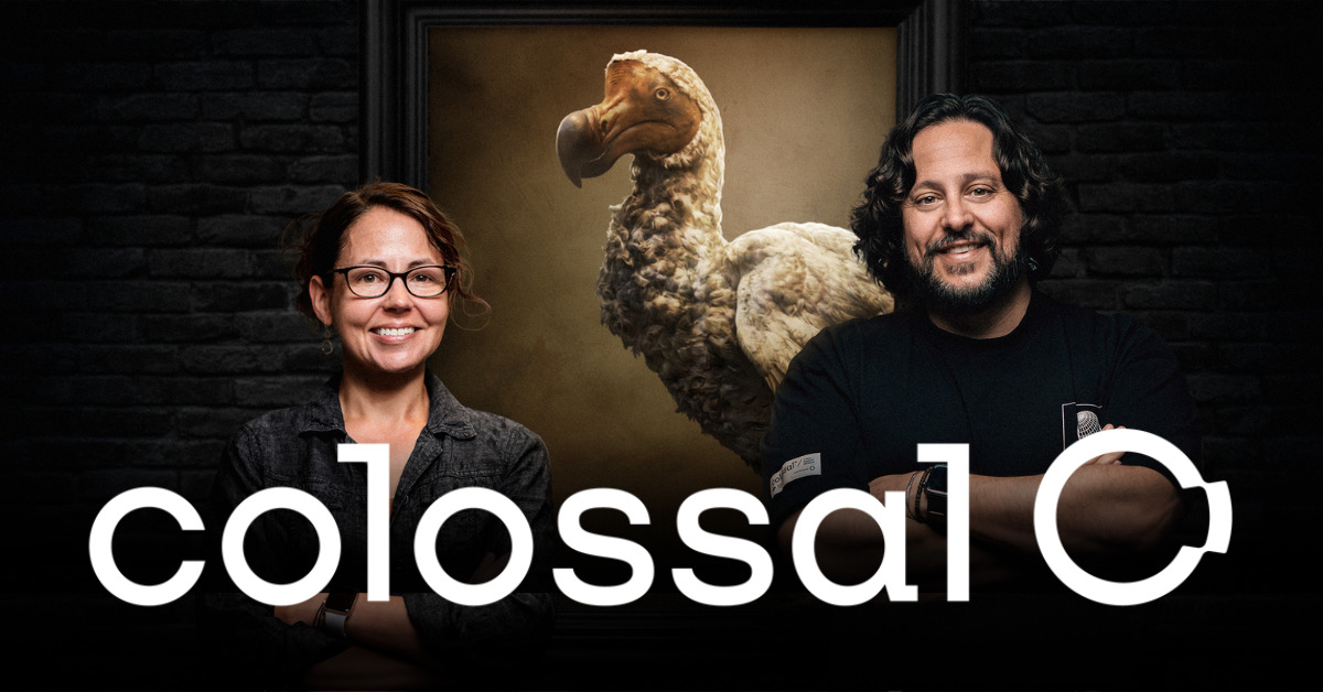 How Colossal is applying de-extinction to conservation
