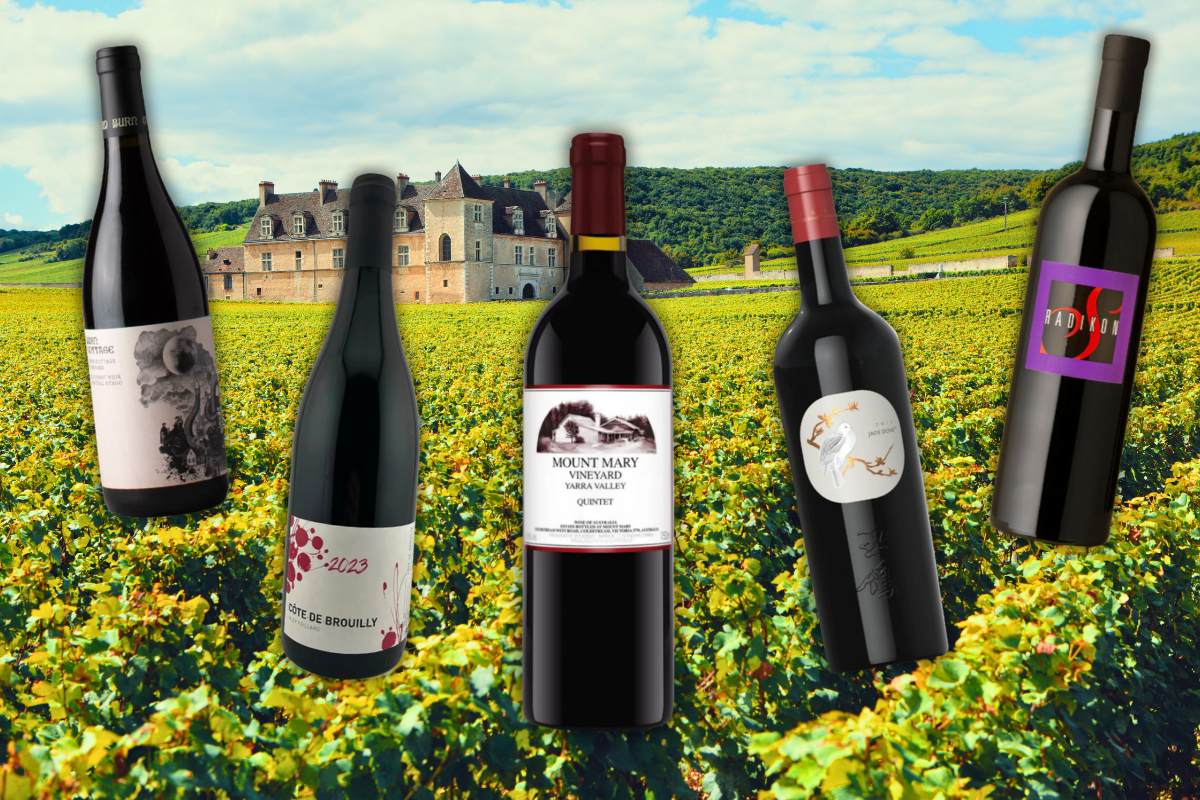 Five intriguing red wines to drink this winter (and beyond)