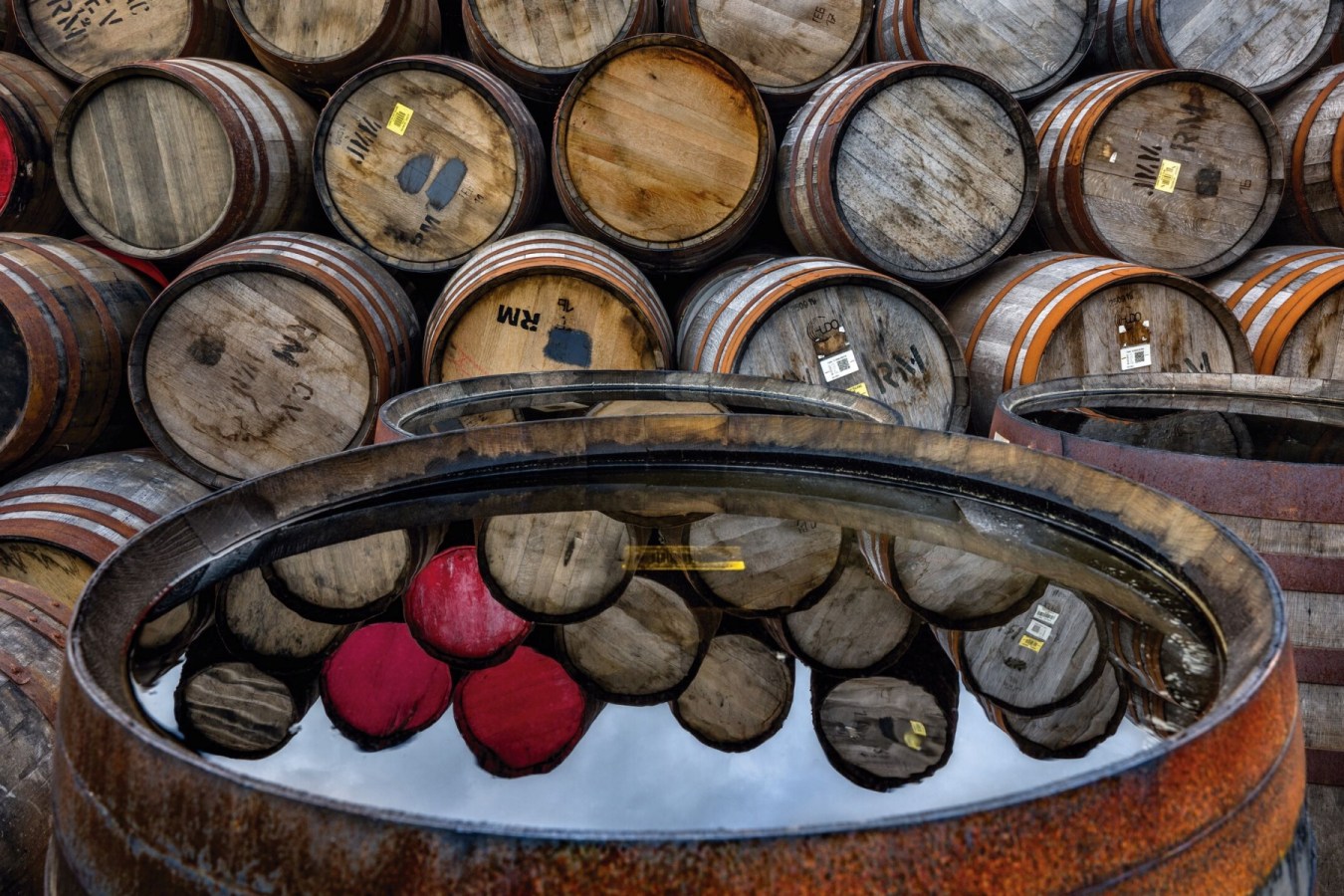 The Macallan's new film explores the craft behind exceptional whisky casks
